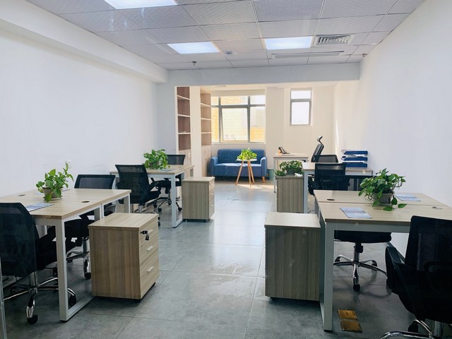 福建提琴用的美国云杉木材